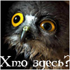 Benutzer Avatar