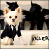 Benutzer Avatar