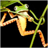 Benutzer Avatar
