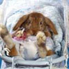 Benutzer Avatar